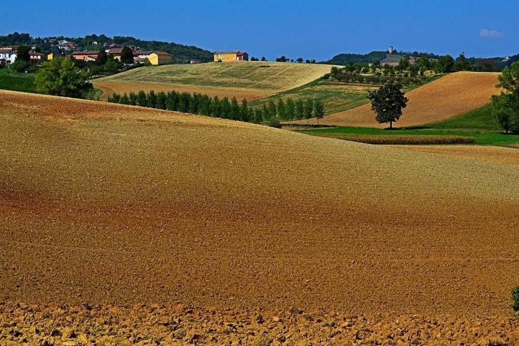 לינה וארוחת בוקר Rosignano Monferrato Cascina Manu מראה חיצוני תמונה