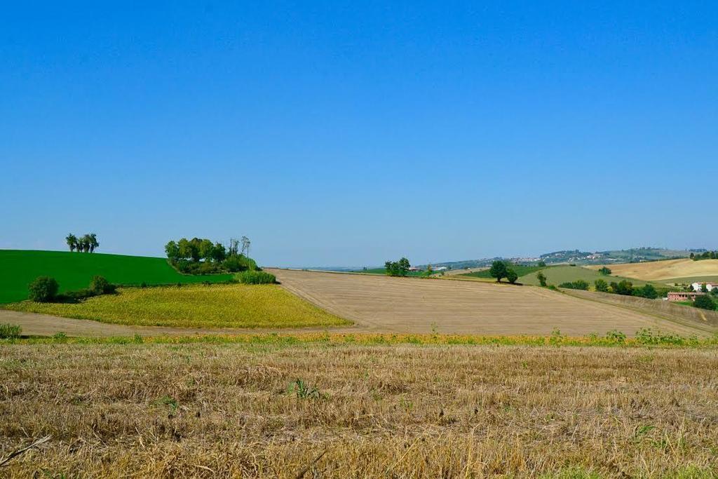 לינה וארוחת בוקר Rosignano Monferrato Cascina Manu מראה חיצוני תמונה