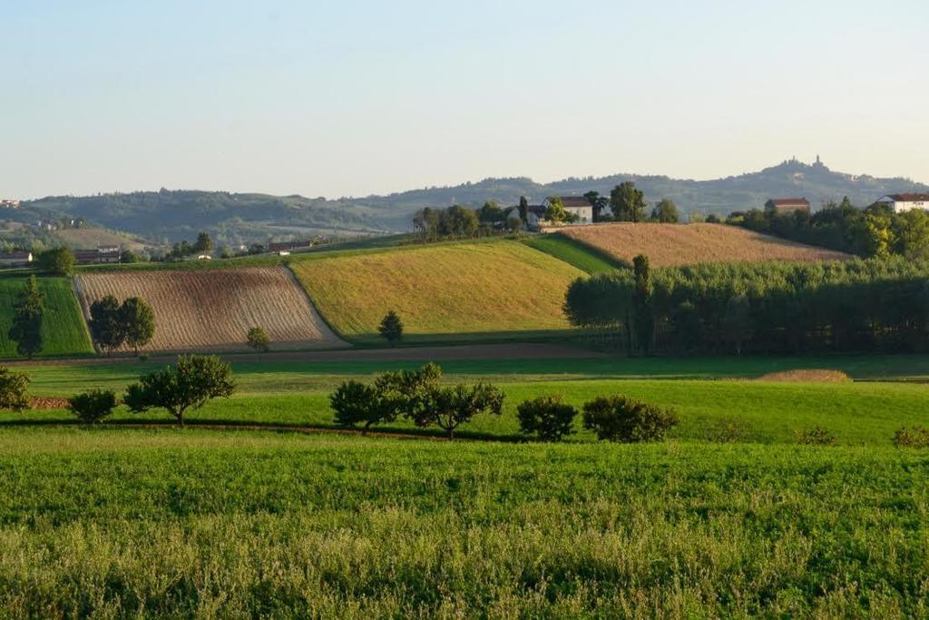 לינה וארוחת בוקר Rosignano Monferrato Cascina Manu מראה חיצוני תמונה